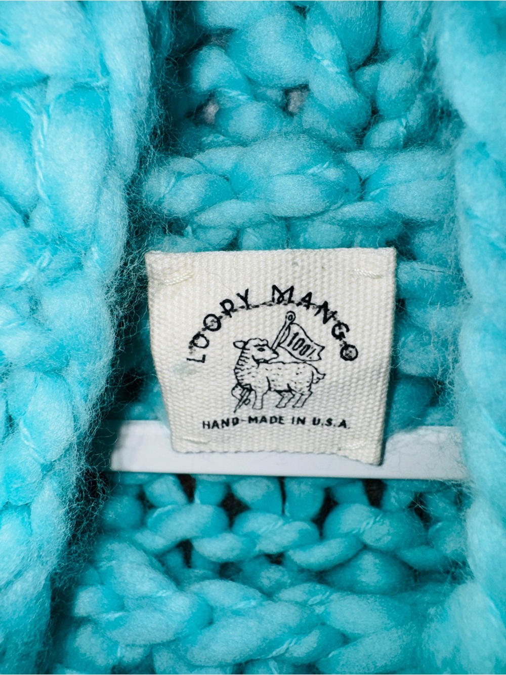 Free People x Loopy Mango π $698 Merino Wool Poncho π¦ Turquoise One Size πΎ NWOT - Picture 6 of 7